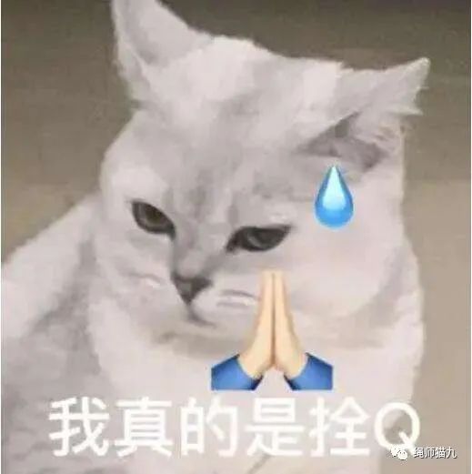 字母圈栓Q,真的不要再问“怎么入圈”啦 字母圈栓Q,真的不要再问“怎么入圈”啦