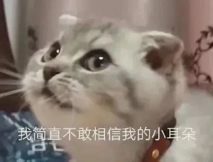 字母圈“我是您的小玩具吗”------bdsm中的“物化” 字母圈“我是您的小玩具吗”------bdsm中的“物化”