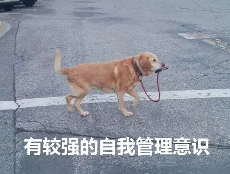 字母圈两攻相遇,必有一受,两switch相遇,组团乱斗 字母圈两攻相遇,必有一受,两switch相遇,组团乱斗