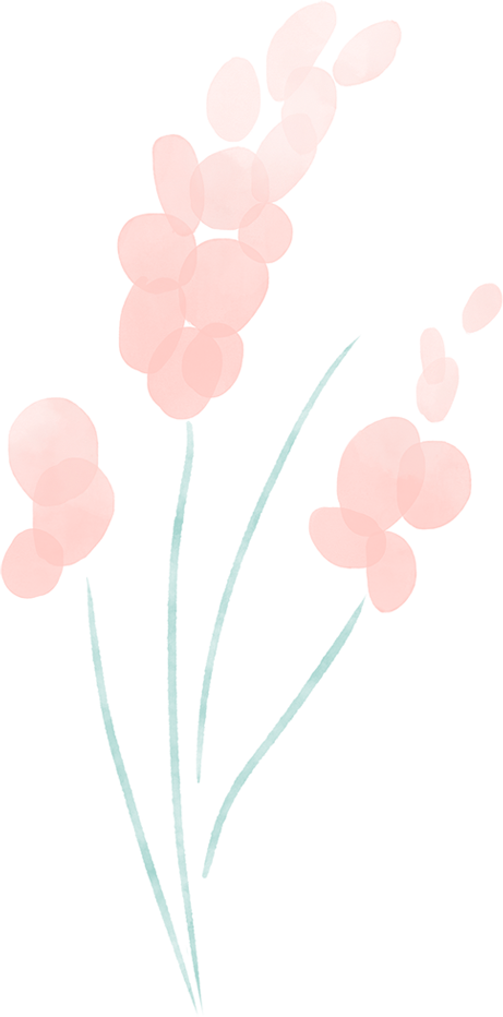 字母圈为什么很难遇到理想的Dom 字母圈为什么很难遇到理想的Dom