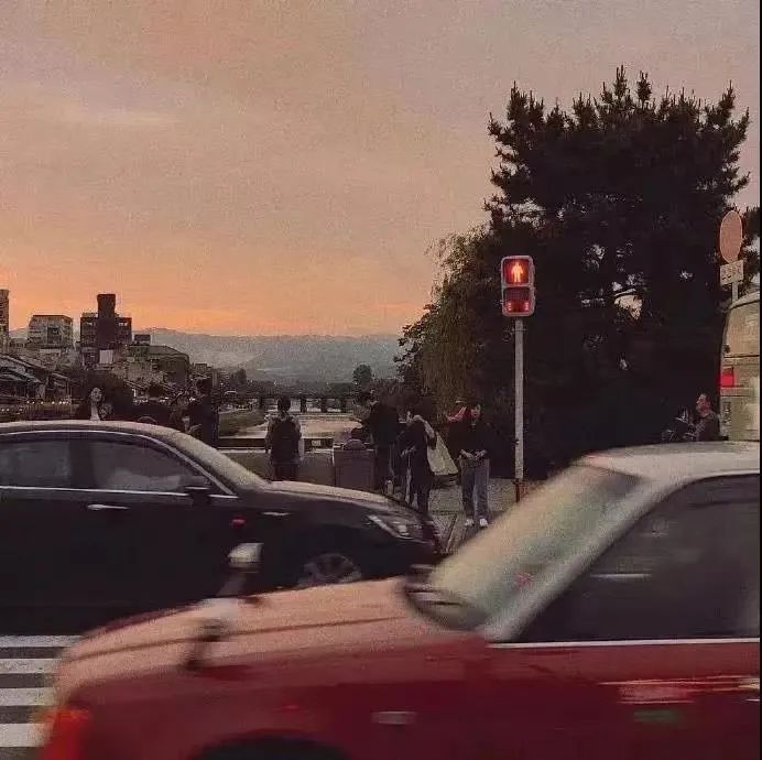 字母圈为什么很难遇到理想的Dom 字母圈为什么很难遇到理想的Dom