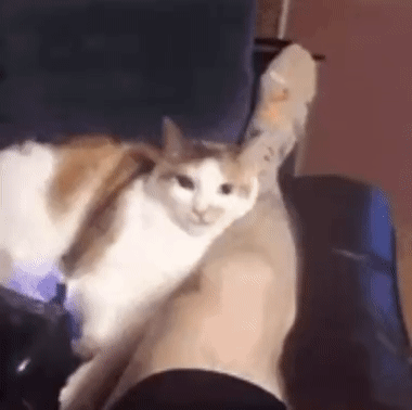 字母圈两攻相遇,必有一受,两switch相遇,组团乱斗 字母圈两攻相遇,必有一受,两switch相遇,组团乱斗