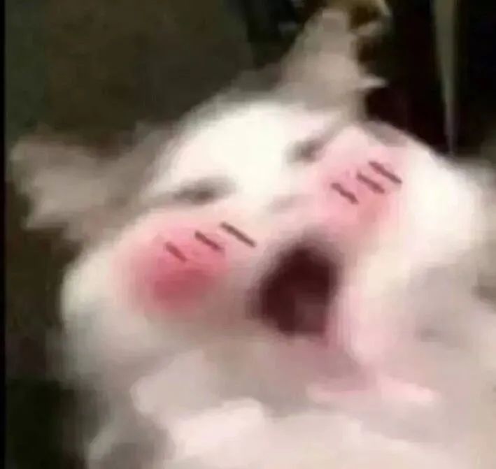 字母圈“我是您的小玩具吗”------bdsm中的“物化” 字母圈“我是您的小玩具吗”------bdsm中的“物化”