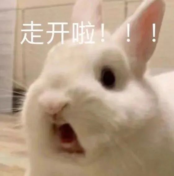 字母圈放置play真的是制服brat的终极杀手锏! 字母圈放置play真的是制服brat的终极杀手锏!