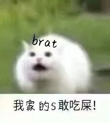 字母圈放置play真的是制服brat的终极杀手锏! 字母圈放置play真的是制服brat的终极杀手锏!