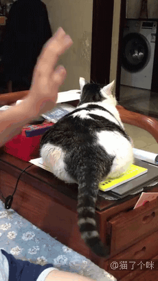 字母圈女高管体验后,“很快乐,但有负罪感。” 字母圈女高管体验后,“很快乐,但有负罪感。”