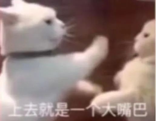 字母圈坏姐姐与好小狗