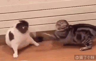 字母圈女高管体验后,“很快乐,但有负罪感。” 字母圈女高管体验后,“很快乐,但有负罪感。”