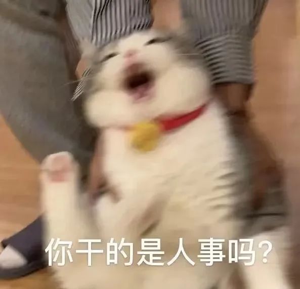 字母圈坏姐姐与好小狗