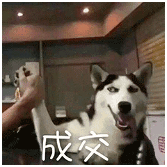 字母圈女高管体验后,“很快乐,但有负罪感。” 字母圈女高管体验后,“很快乐,但有负罪感。”