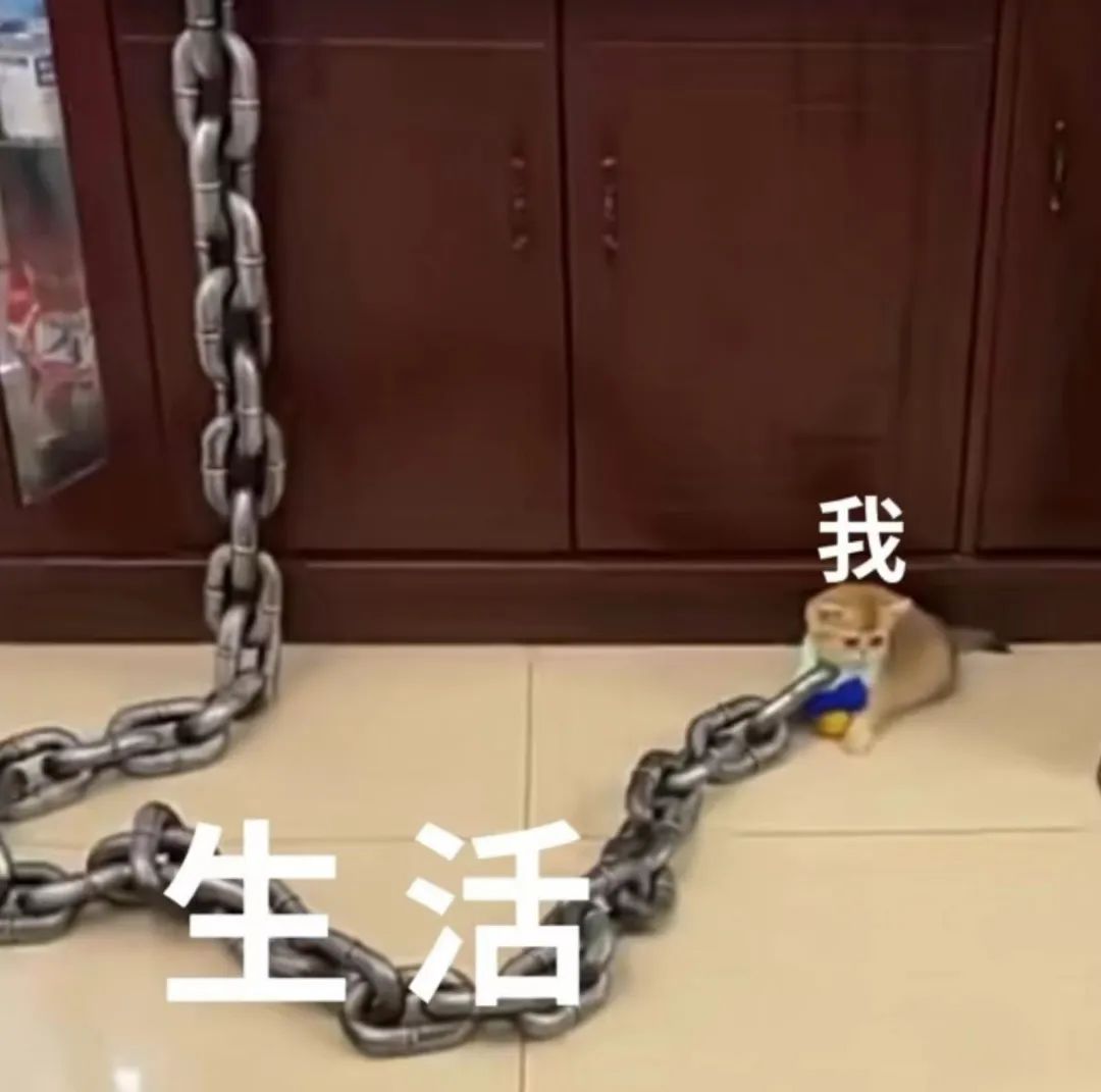 字母圈曾经梦想做“手黑严主”，现在卷技能卷到想哭