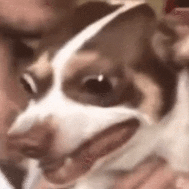 字母圈曾经梦想做“手黑严主”，现在卷技能卷到想哭