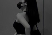 字母圈中的“引导”关系-瘾欢