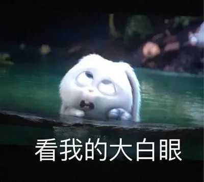 字母圈不要找“奴主”