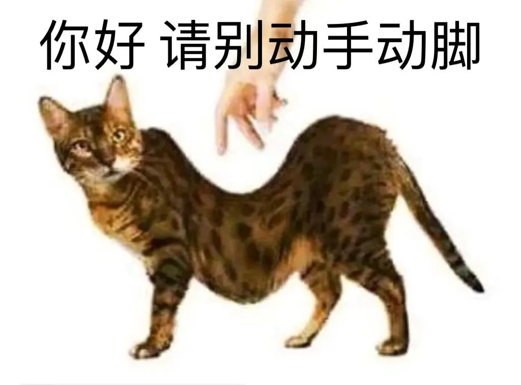 字母圈网上XP越来越怪,现实中却越来越渴望纯爱 字母圈网上XP越来越怪,现实中却越来越渴望纯爱