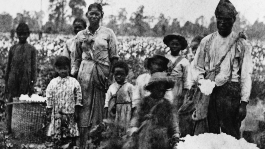 字母圈不要找“奴主”