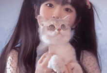 关于想入字母圈却没入圈的理由与一些心境-瘾欢