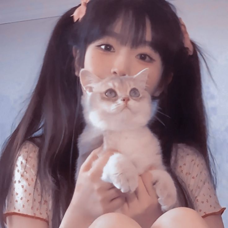 关于想入字母圈却没入圈的理由与一些心境 关于想入字母圈却没入圈的理由与一些心境