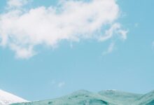 M怀孕了，怎么办？-瘾欢