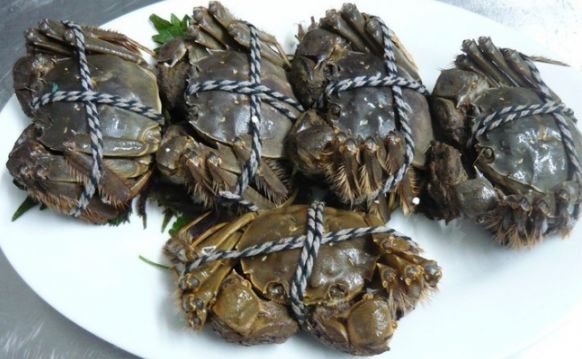 字母圈SM圈终极疑问：S老了该咋整？