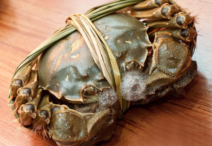 字母圈SM圈终极疑问：S老了该咋整？