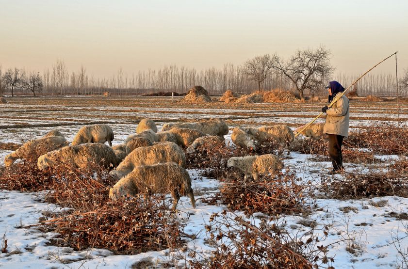 字母圈SM圈终极疑问：S老了该咋整？