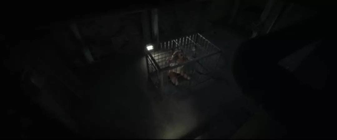 字母圈电影推荐 | 看笼子里的人怎么囚禁笼子外的人 字母圈电影推荐 | 看笼子里的人怎么囚禁笼子外的人