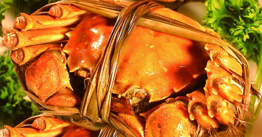 字母圈SM圈终极疑问：S老了该咋整？