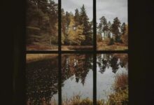 sub和m：掌握主动权的弱势群体-瘾欢