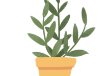 湖南字母圈只说真事儿不编故事-瘾欢