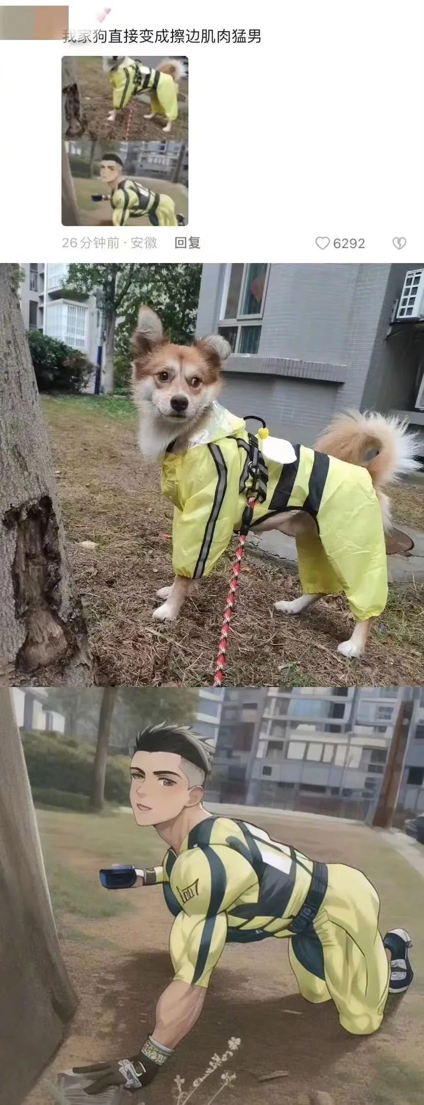 字母圈AI乱擦边，色批也懵圈