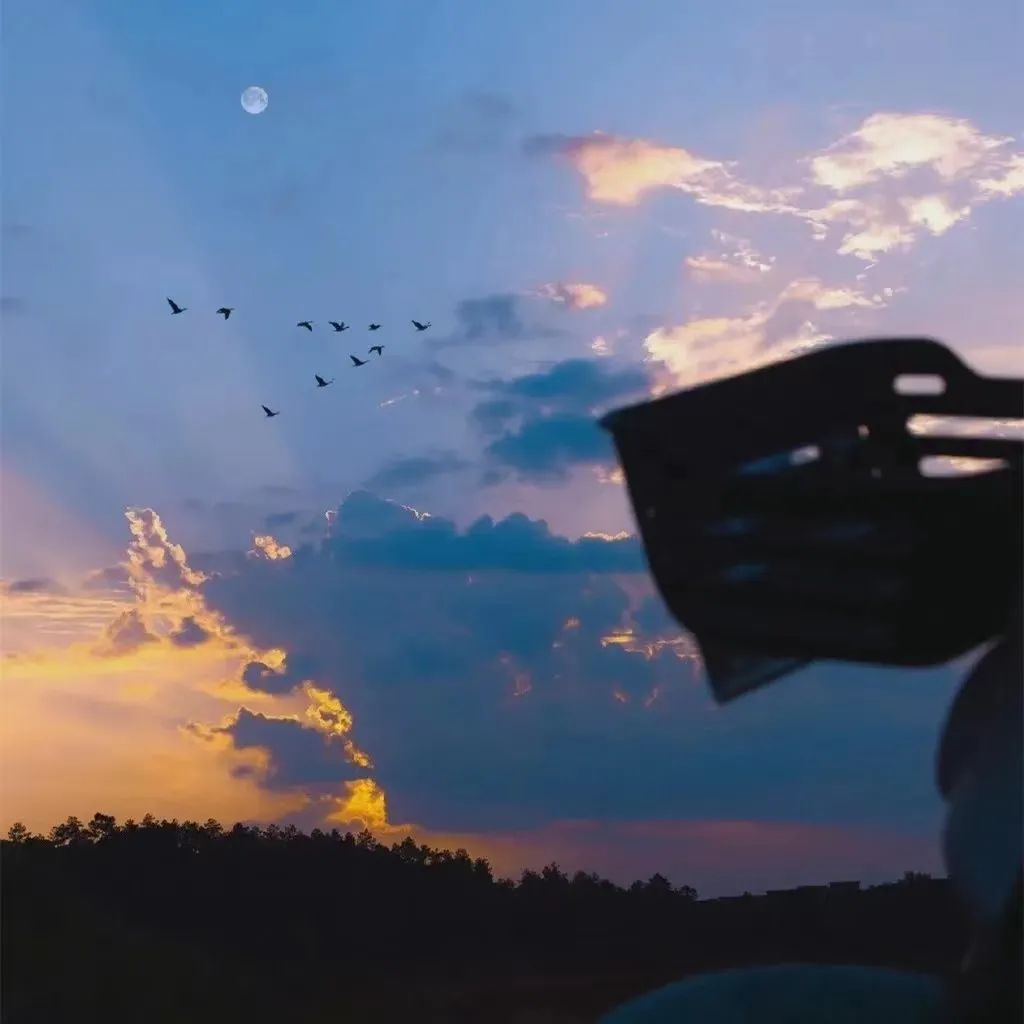 字母圈Ds 关系里应该发生感情吗? 字母圈Ds 关系里应该发生感情吗?