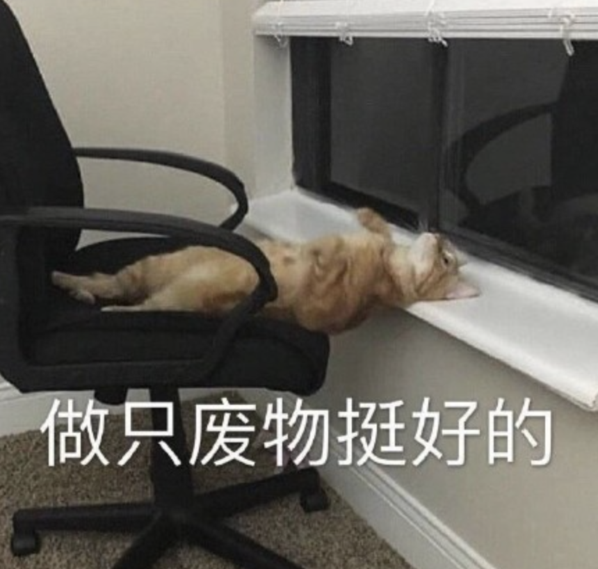 字母圈一些dirty talk的小技巧(干货) 字母圈一些dirty talk的小技巧(干货)