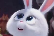 字母圈可以发生关系吗 ？下）-瘾欢