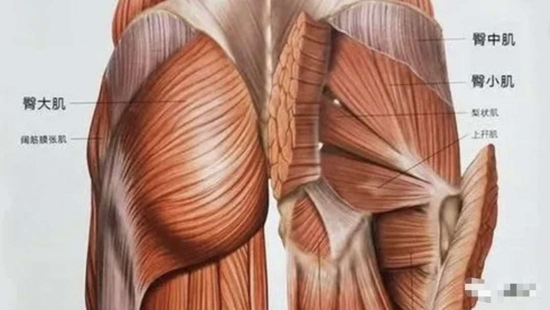 字母圈正经地在研究打屁股(>﹏<) 字母圈正经地在研究打屁股(>﹏<)