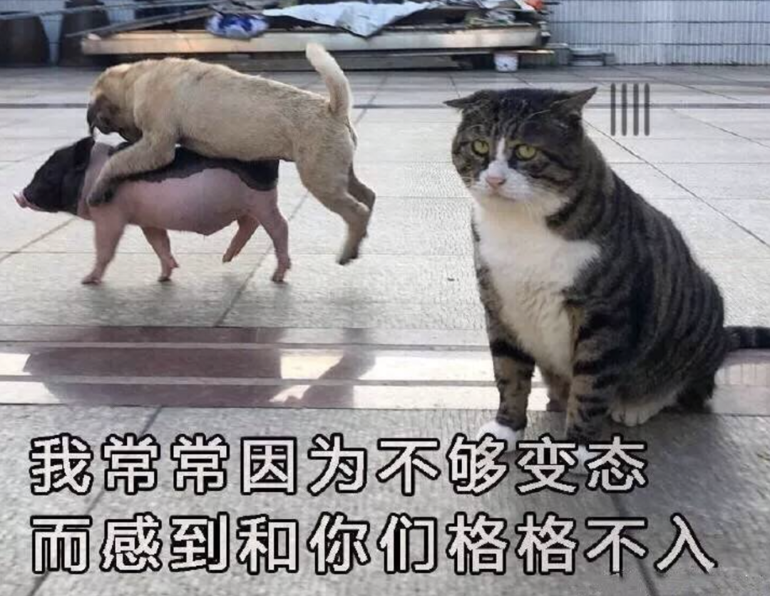 字母圈木乃伊:“不是,我也能成为xp?” 字母圈木乃伊:“不是,我也能成为xp?”