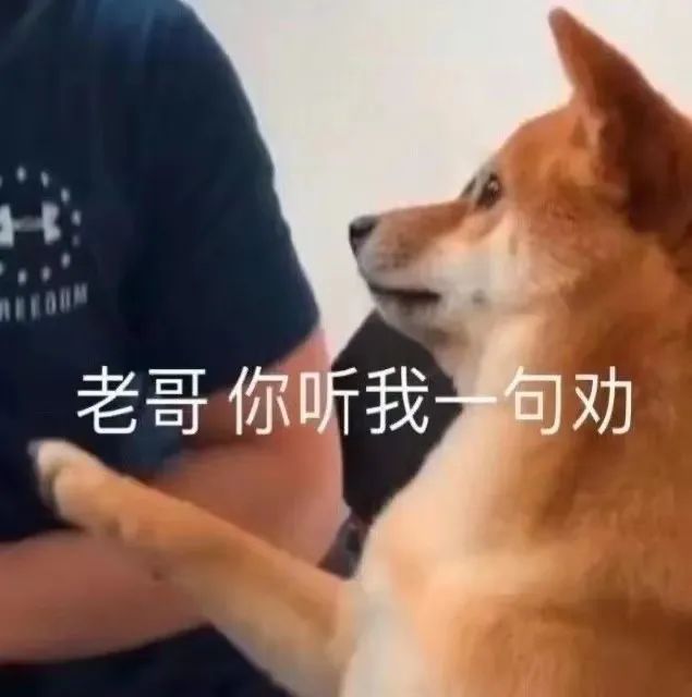 字母圈“非情侣式”BDSM关系会有理想的结局吗? 字母圈“非情侣式”BDSM关系会有理想的结局吗?