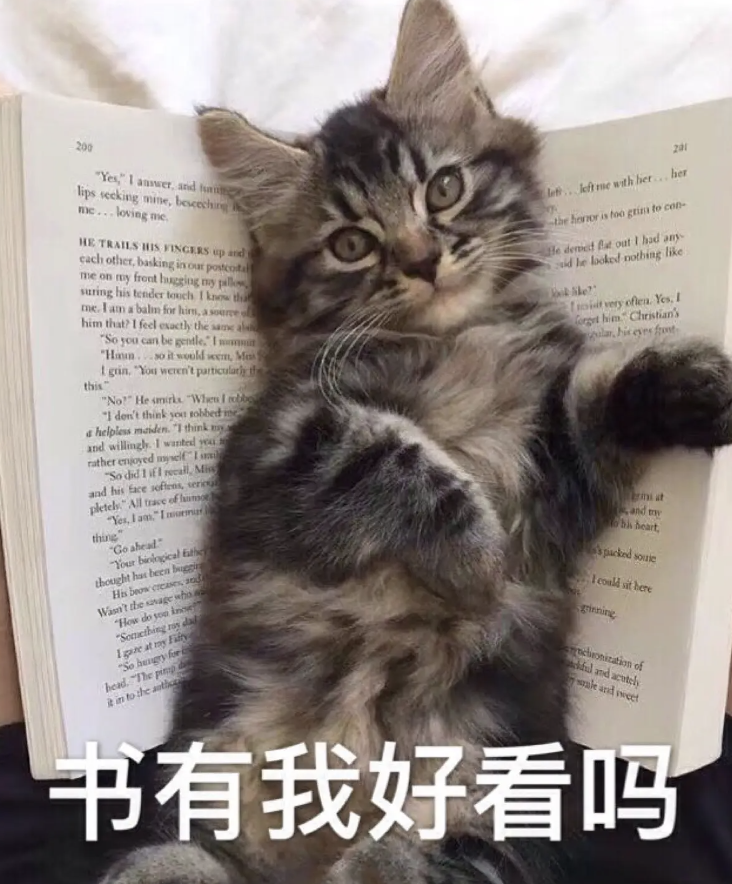 字母圈在pet play时和床单被子打成一片 字母圈在pet play时和床单被子打成一片