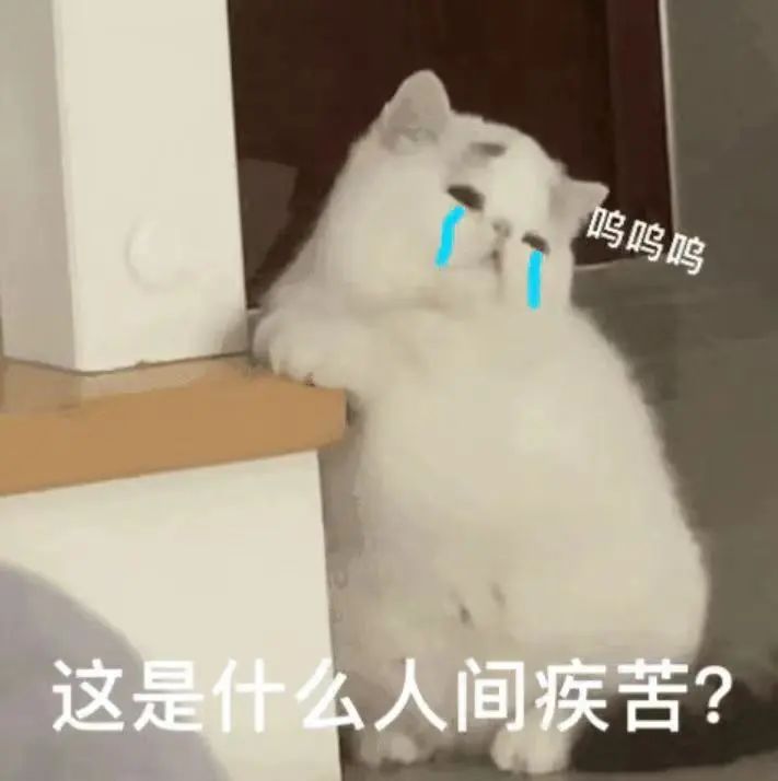 字母圈“非情侣式”BDSM关系会有理想的结局吗? 字母圈“非情侣式”BDSM关系会有理想的结局吗?