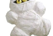 新加坡字母圈木乃伊：“不是，我也能成为xp？”-瘾欢