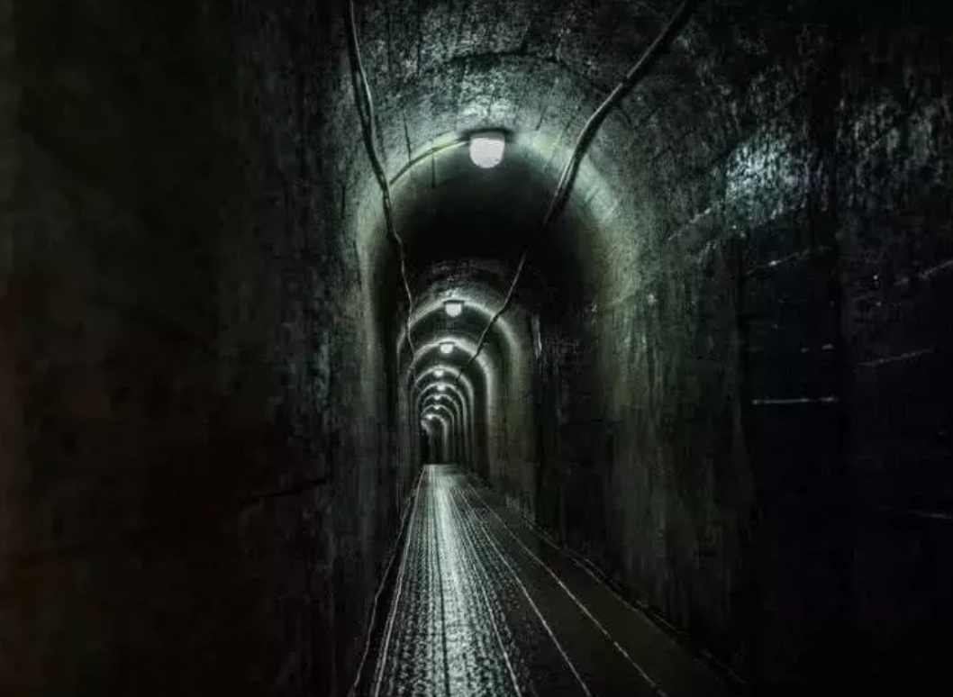 字母圈木乃伊:“不是,我也能成为xp?” 字母圈木乃伊:“不是,我也能成为xp?”