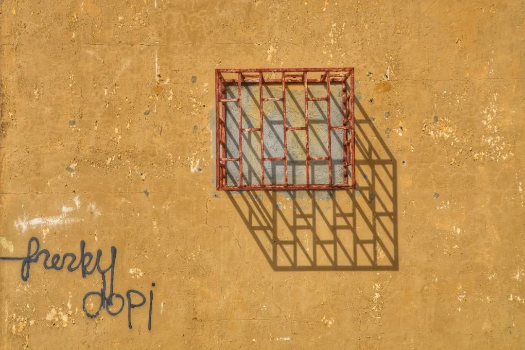 字母圈“在囚笼内起舞” 字母圈“在囚笼内起舞”