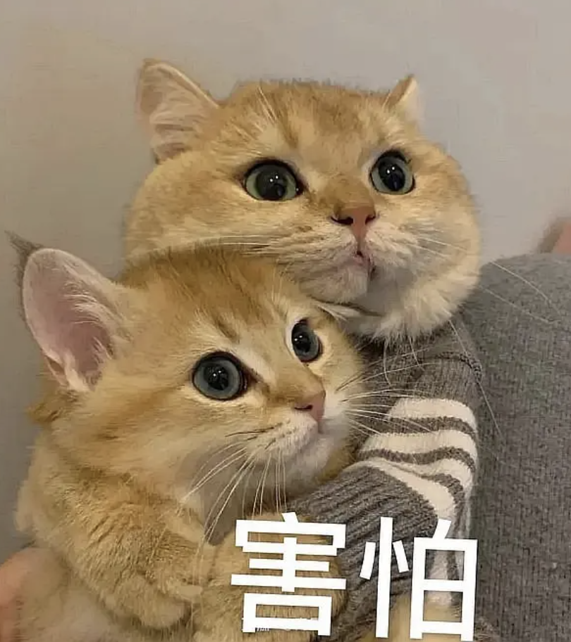 字母圈不是,这样尿尿没问题吗?!Σっ°Д°;)っ 字母圈不是,这样尿尿没问题吗?!Σっ°Д°;)っ