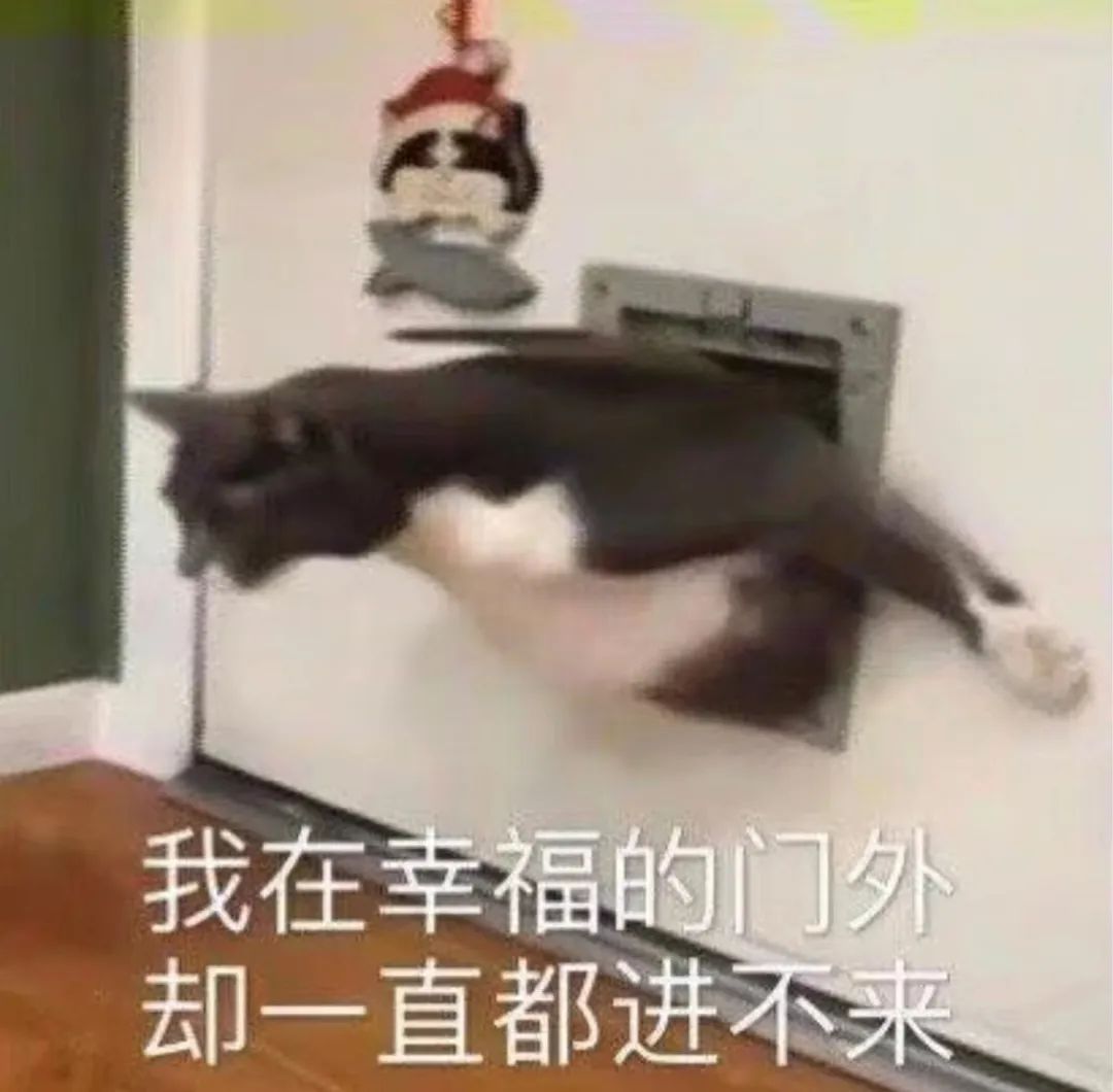 字母圈“非情侣式”BDSM关系会有理想的结局吗? 字母圈“非情侣式”BDSM关系会有理想的结局吗?