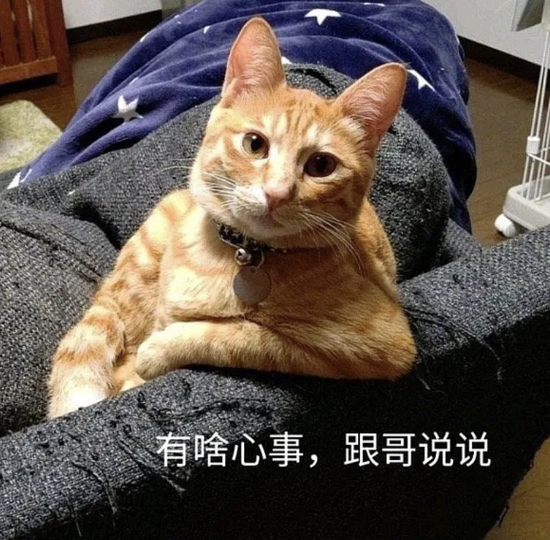 字母圈木乃伊:“不是,我也能成为xp?” 字母圈木乃伊:“不是,我也能成为xp?”