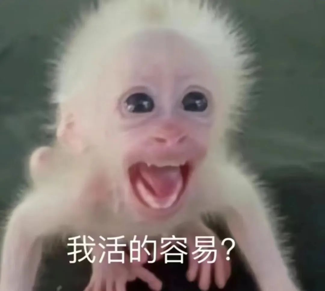 字母圈“非情侣式”BDSM关系会有理想的结局吗? 字母圈“非情侣式”BDSM关系会有理想的结局吗?