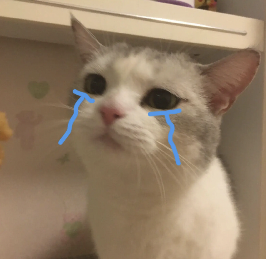 字母圈让你的sub再也没有贤者时间!(dom必读) 字母圈让你的sub再也没有贤者时间!(dom必读)