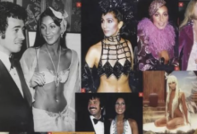 美国字母圈身上的每一个眼儿，都对应着一种离谱的XP-瘾欢