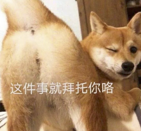 字母圈我尿裤子了,这在成年人里也是相当炸裂的 字母圈我尿裤子了,这在成年人里也是相当炸裂的