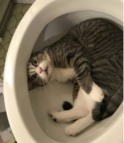 字母圈我尿裤子了,这在成年人里也是相当炸裂的 字母圈我尿裤子了,这在成年人里也是相当炸裂的